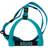 Radar 5ft Bungee Dog Leash - Wasserski
